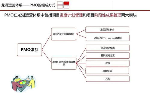 图解某公司pmo运作方式及体系