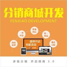 软件开发_技术开发