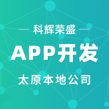 太原科辉APP开发与软件开发服务全解
